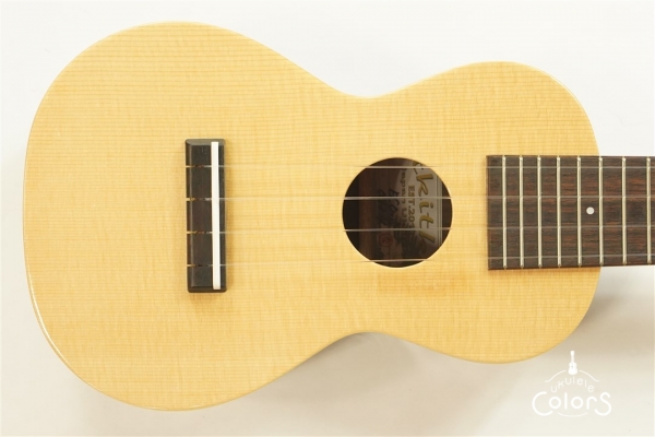 ECO-S - Spruce Top / Rosewood Side&Back